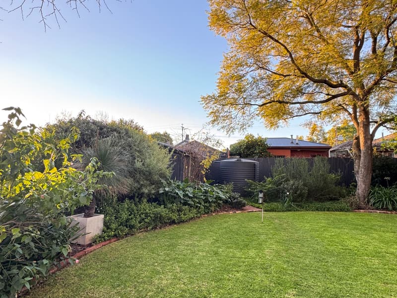 Backyard lawn and garden beds under a mature tree in Prospect, Adelaide