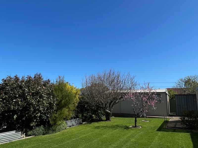 Striped backyard lawn after mowing in Valley View, Adelaide