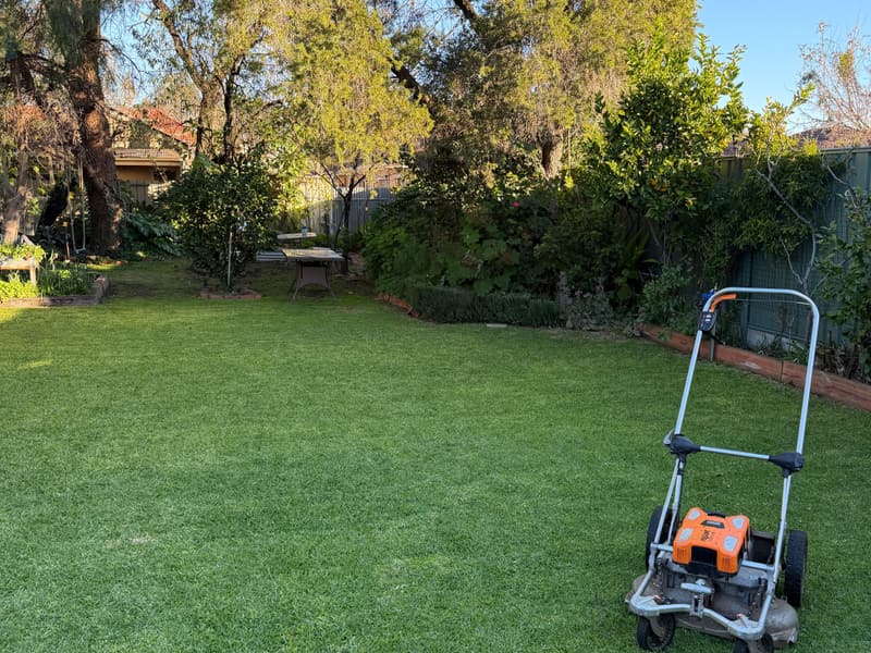 Pellenc Rasion 2 battery mower on a freshly cut backyard lawn in Nailsworth, Adelaide