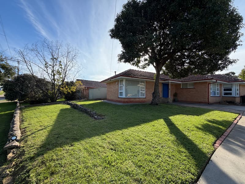 Mown front lawn shaded by a mature tree in Valley View, Adelaide
