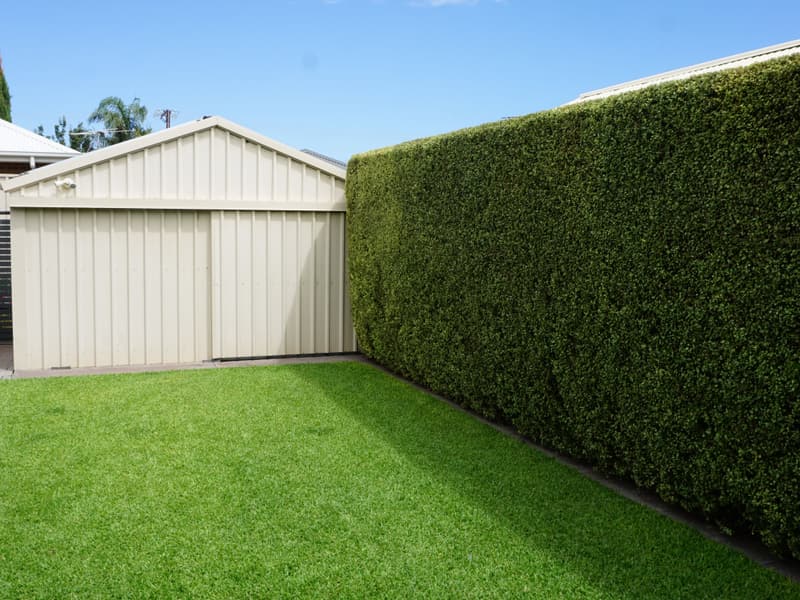 Trimmed boundary hedge running the length of a backyard lawn in Greenacres, Adelaide
