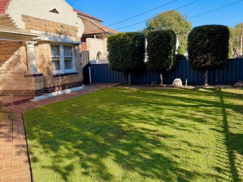 Front lawn and shaped topiary after a garden maintenance visit in Manningham, Adelaide