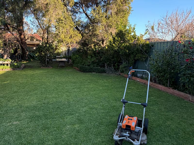 Tidy backyard lawn and garden border in Nailsworth, Adelaide
