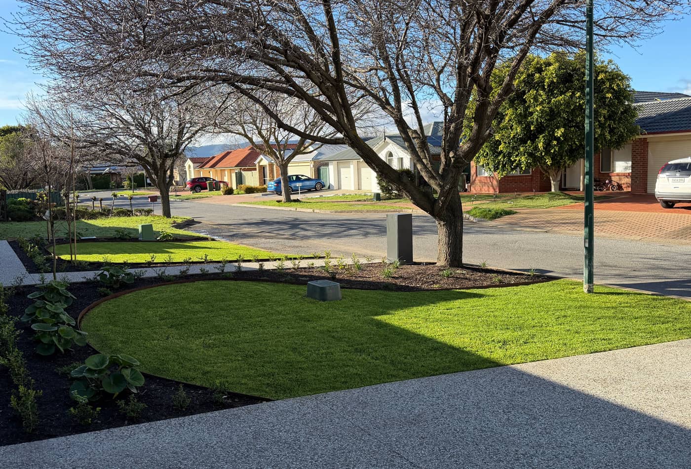 Circular front garden bed and freshly mown lawn after a garden maintenance visit in Oakden, Adelaide