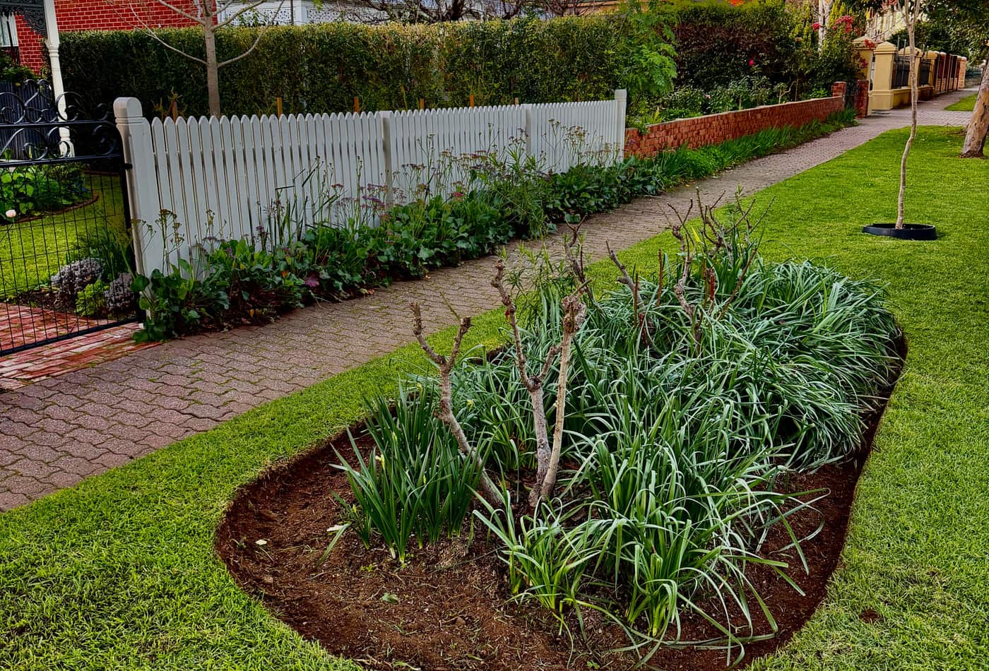 Freshly mulched garden bed and mown lawn outside a heritage home in Prospect, Adelaide