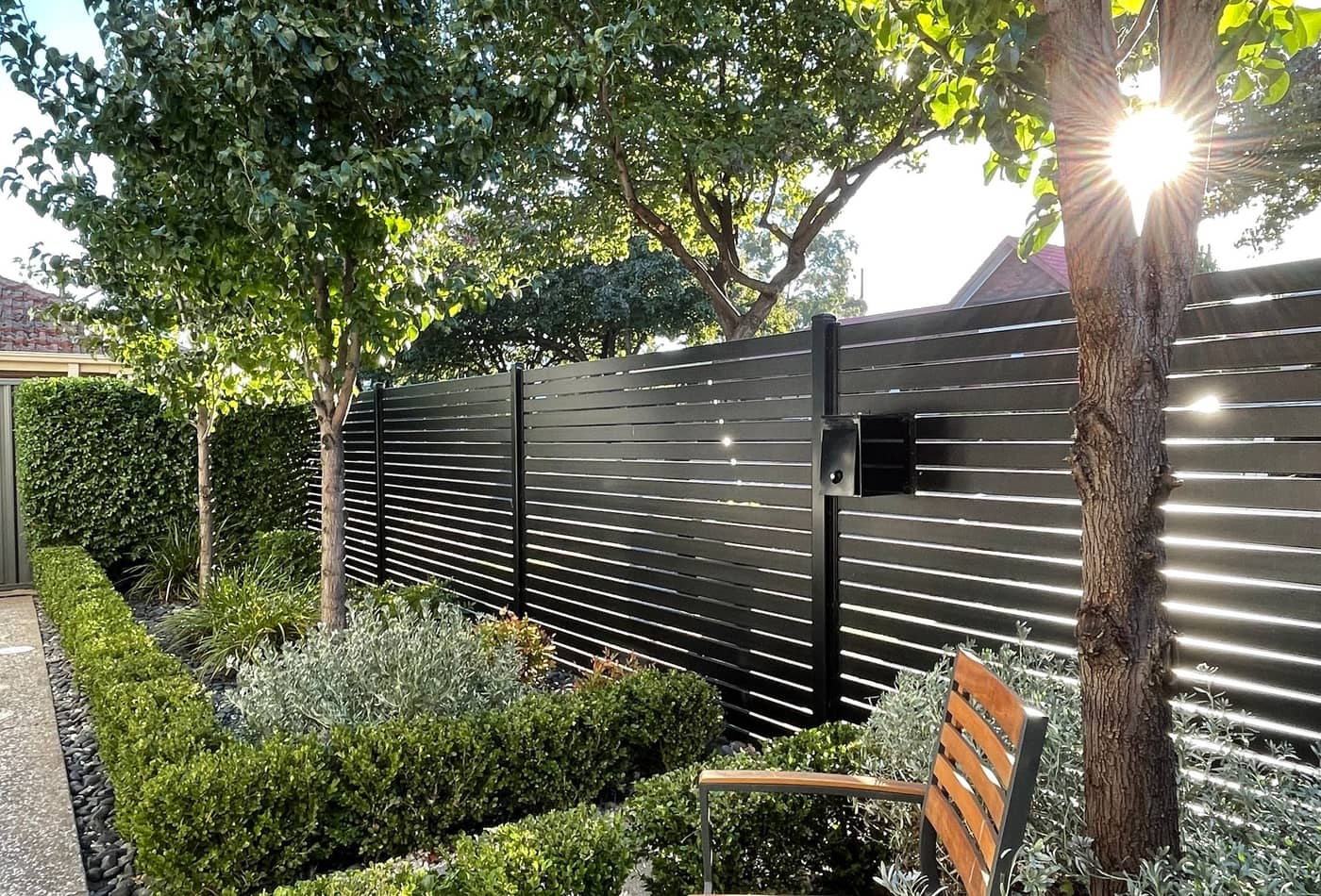 Clipped box hedging, pebble border and shade tree in a front garden in Vale Park, Adelaide