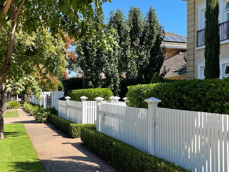 Clipped border hedge and mown verge outside a home in Walkerville, Adelaide