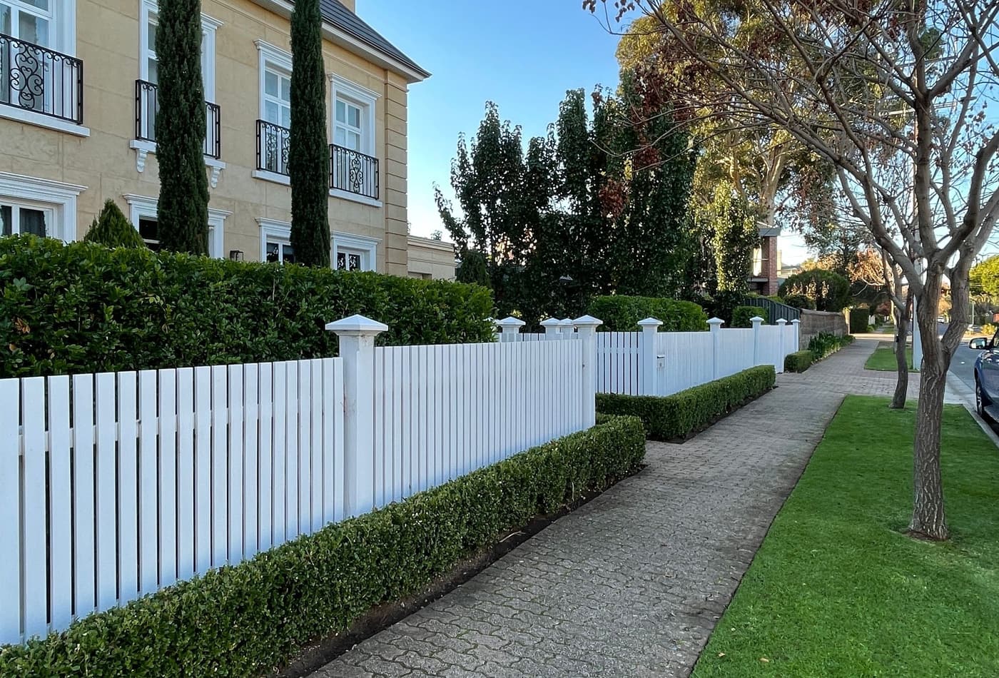 Low hedge trimmed along a picket fence and paved footpath in Walkerville, Adelaide