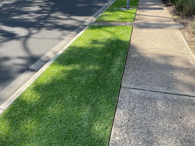 Edged nature strip beside a footpath on a residential street in Klemzig, Adelaide