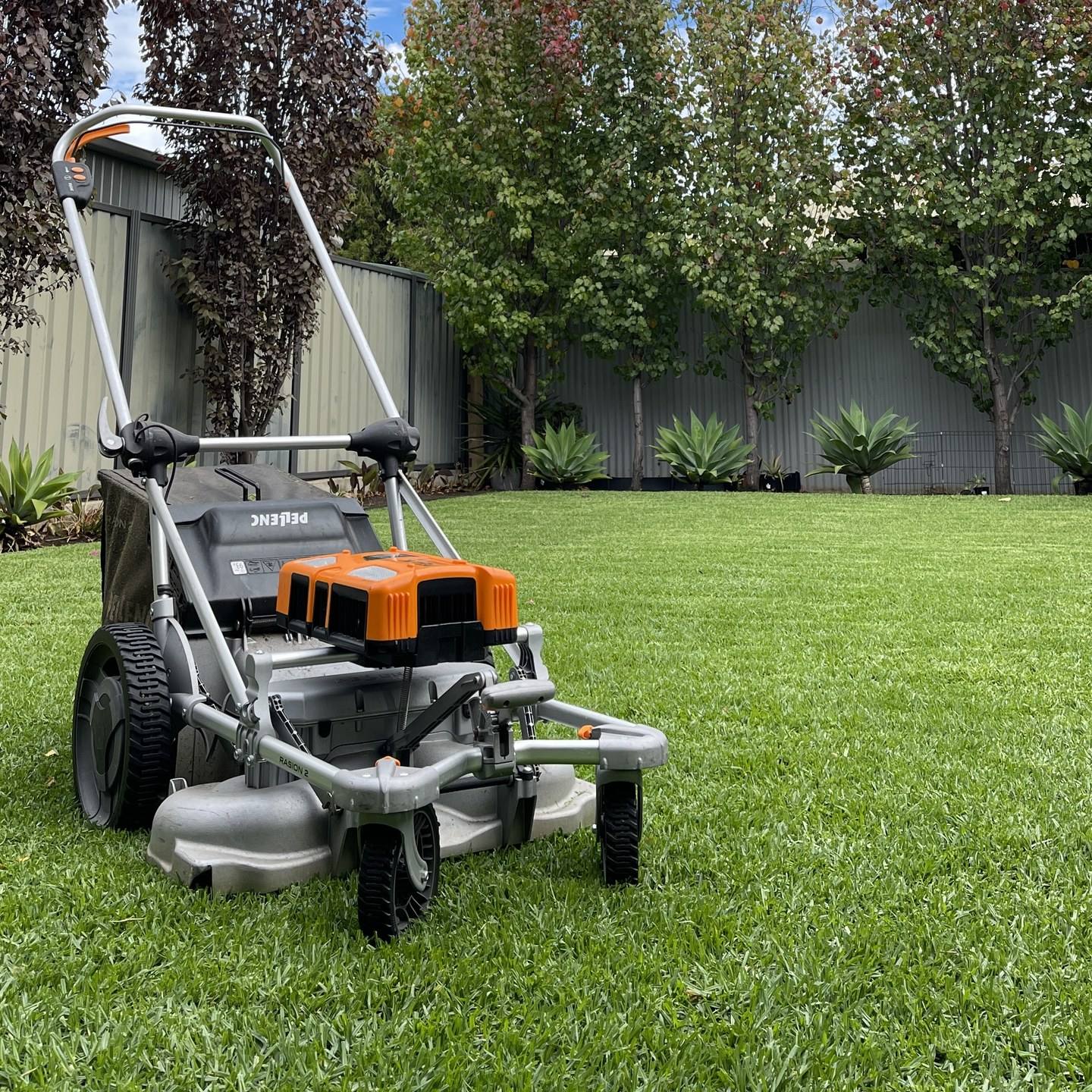 Freshly mown residential lawn in Broadview, Adelaide’s inner north