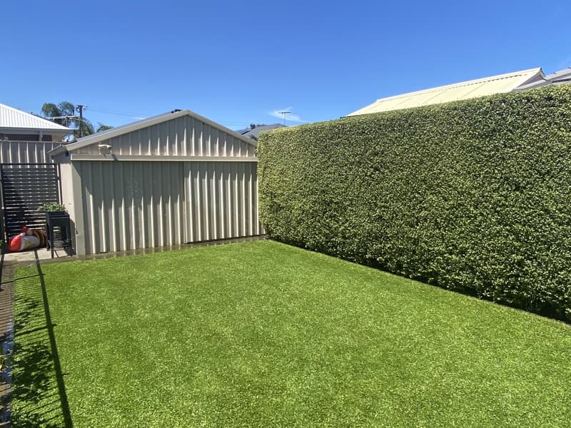 Freshly mown backyard lawn beside a trimmed hedge in Greenacres, Adelaide