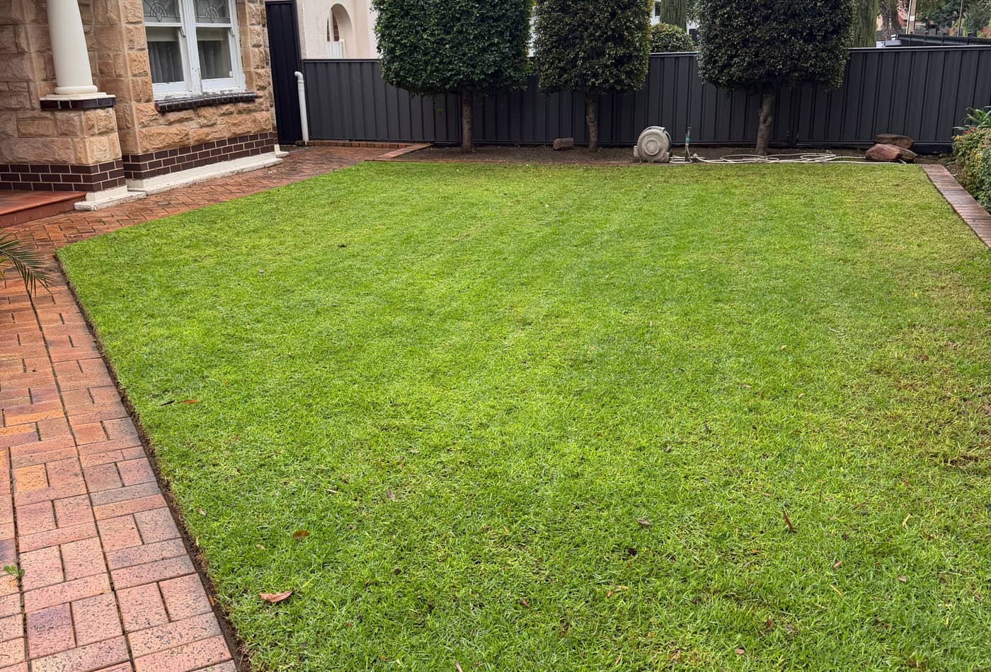Freshly mown front lawn and brick path at a home in Manningham, Adelaide