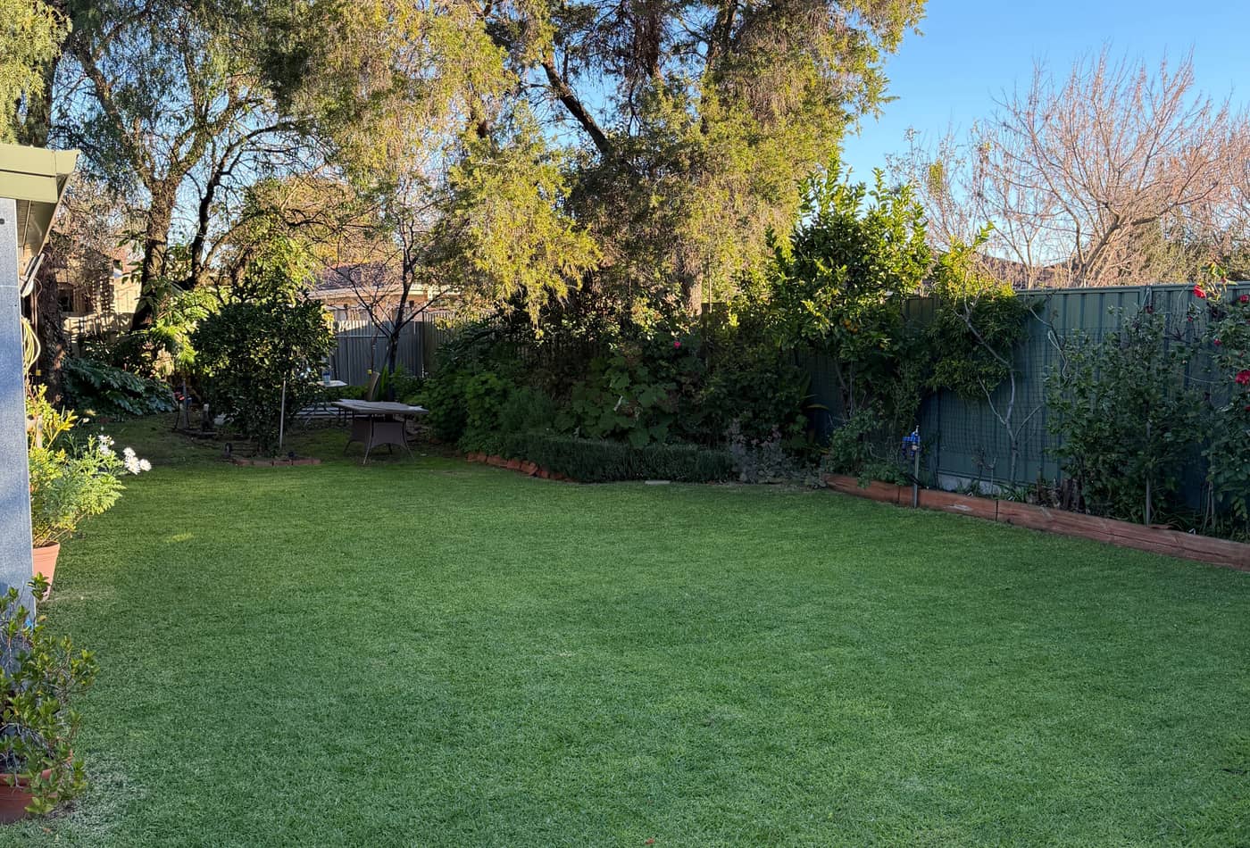 Freshly mown backyard lawn bordered by garden beds in Nailsworth, Adelaide