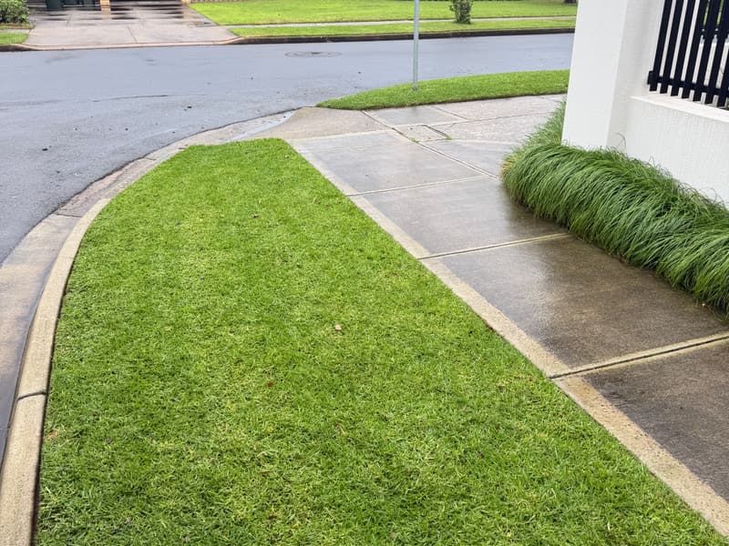 Mown and edged nature strip on a residential street in Manningham, Adelaide