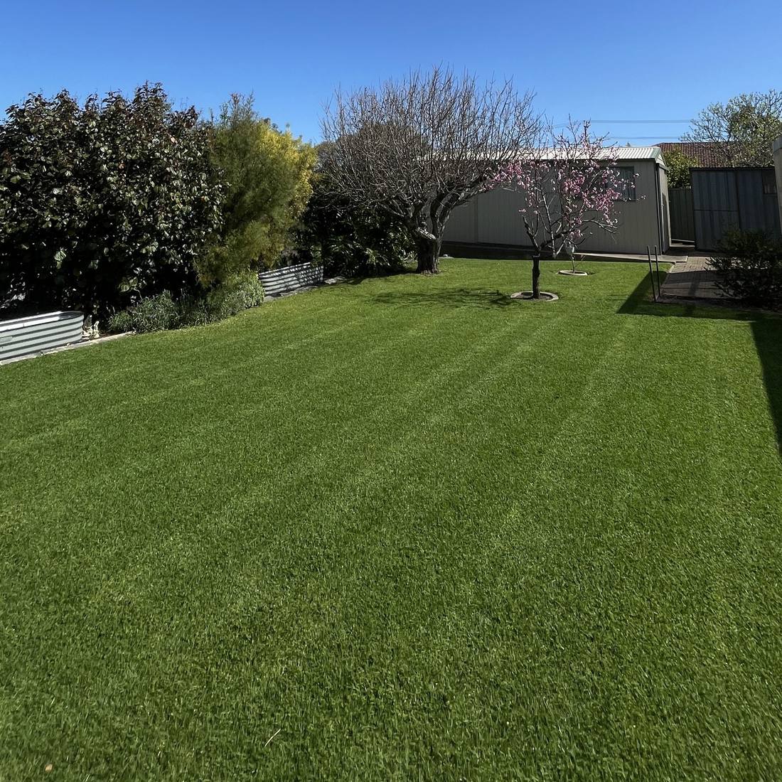 Rental property gardens in Adelaide’s inner north