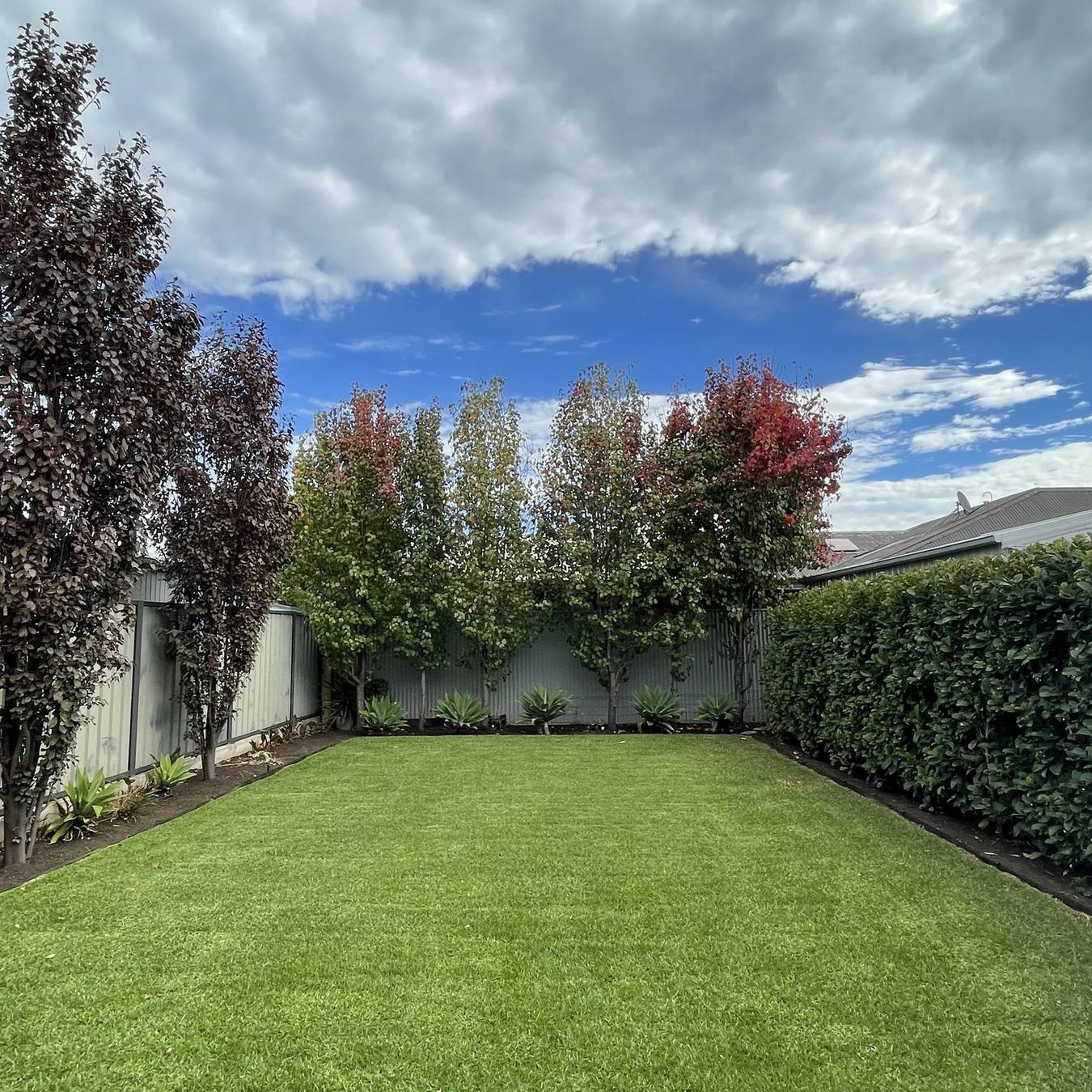 A tidy, party-ready backyard maintained by Trusted Garden Maintenance in Adelaide’s inner north